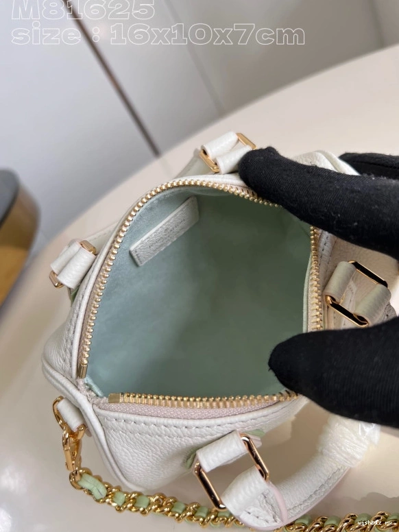 WIS NANO SPEEDY-16-10-7.5cm VUITTON LOUIS 0821